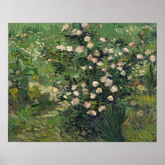 Poster Van Gogh - Roses (Devant)