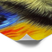 Poster Van Gogh Starry Nuit Siamese Cat (Coin)