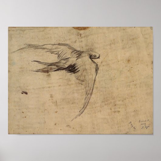 Poster Van Gogh - Swift (Devant)
