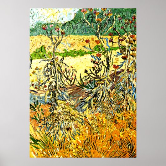 Poster Van Gogh - Thistles, 1888 peinture vintage (Devant)