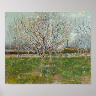 Poster Van Gogh - Verger en fleurs (Pruniers)