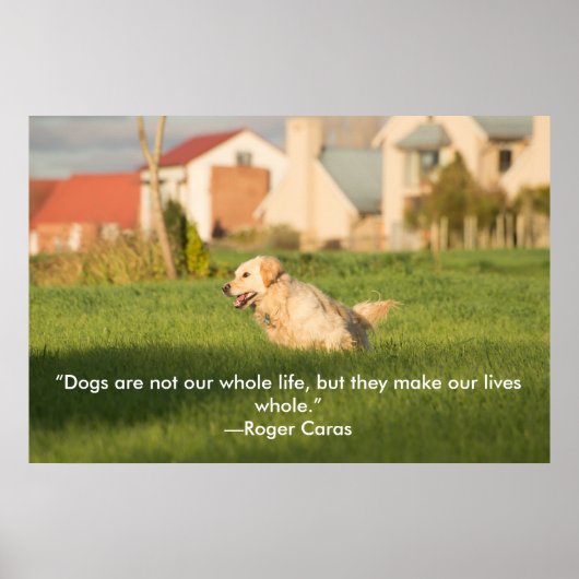 Poster van Golden Retriever met Citaat (Voorkant)
