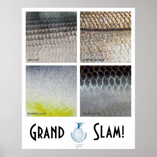 Poster van Grand Slam Saltwater (Voorkant)