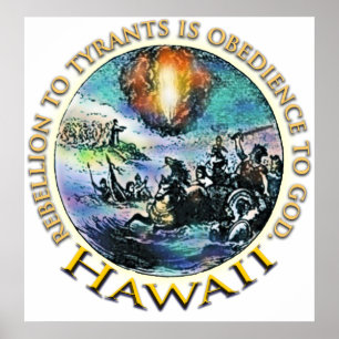 Poster van Hawaii Tea Party