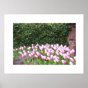 Poster van het Afbeelding van tuinbouwbuizen
