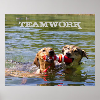  Poster van het Dog Teamwork