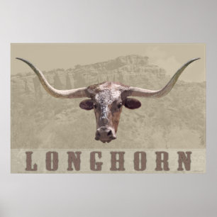 Poster van het Longhorn-land -60x40 - andere groot