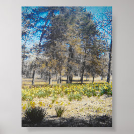 Poster van het narcissenbos