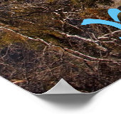 Poster van het nationaal park Yosemite (Hoek)