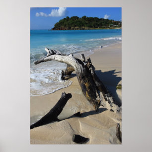 Poster van het strand van Antigua