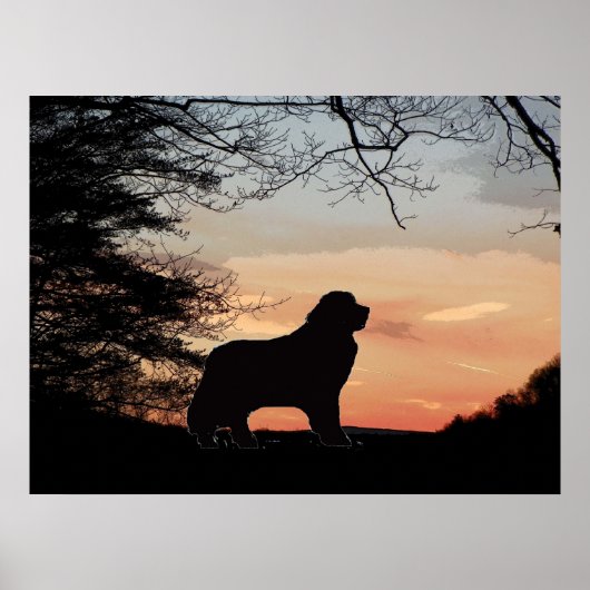 Poster van hondenhonden (Voorkant)