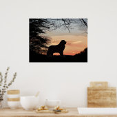 Poster van hondenhonden (Keuken)