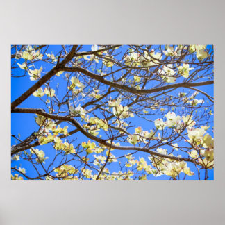 poster van hondenhout