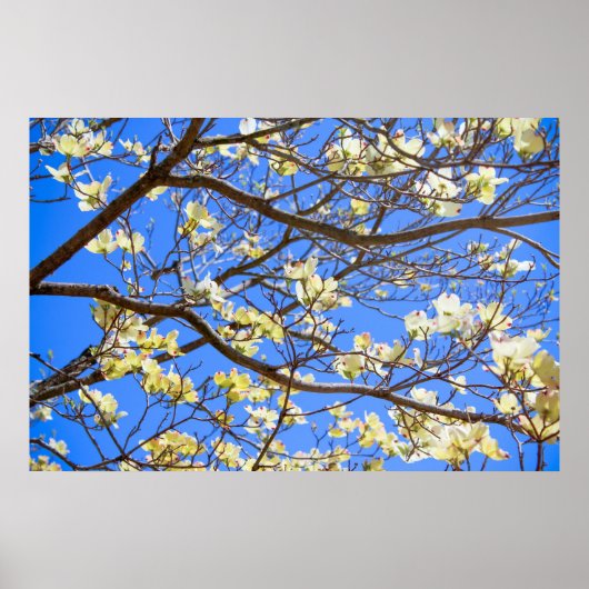 poster van hondenhout (Voorkant)