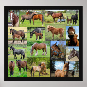 Poster van Horse Lover