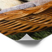 Poster van katten en honden (Hoek)