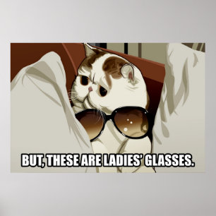 Poster van katten van glaswerk (pt. 1)