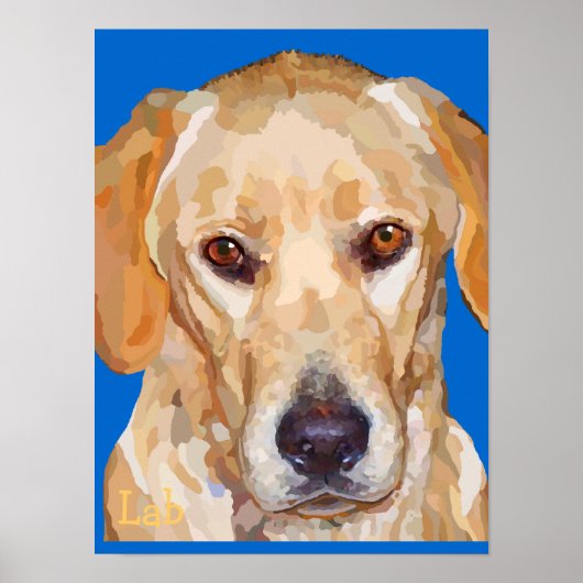 Poster van labrador Retriever "Reggie" (Voorkant)