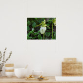 Poster van Lady slipper (Keuken)