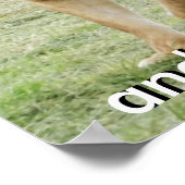 Poster van leeuwen en leeuwen (Hoek)