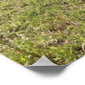 Poster van lentecalves (Hoek)