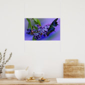 Poster van Lilacs & Butterfly (Keuken)