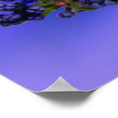 Poster van Lilacs & Butterfly (Hoek)