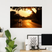 Poster van Lion op weg naar Afrika (Thuiskantoor)