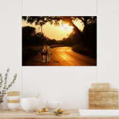 Poster van Lion op weg naar Afrika (Keuken)