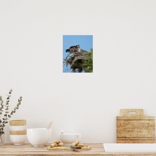 Poster van mama en Baby Osprey (Keuken)