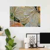 Poster van Maple, bevroren (Thuiskantoor)