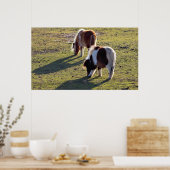 Poster van Mini Horses (Keuken)