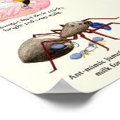 Poster van moedermelk (Hoek)