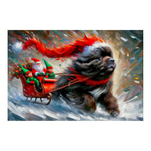Poster van Newfie die Santa's slee trekt