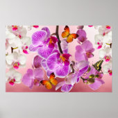 Poster van orchideeën en Butterflies (Voorkant)