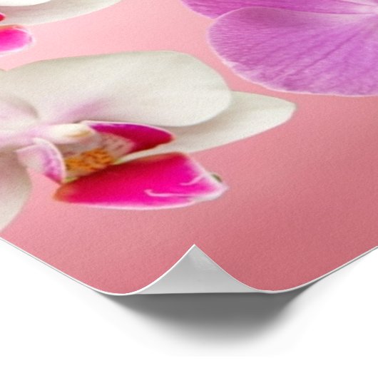 Poster van orchideeën en Butterflies (Hoek)