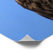 Poster van Osprey (4964) (Hoek)