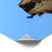 Poster van Osprey Bird (Hoek)