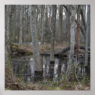Poster van overstroomde bomen