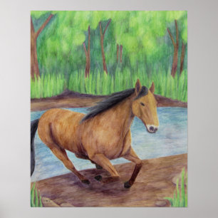 Poster van paarden