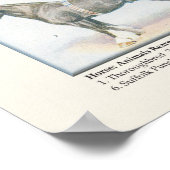 Poster van paarden (Hoek)