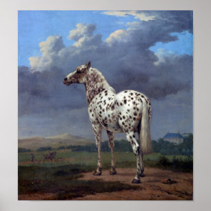 Poster van paarden