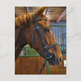 Poster van paarden briefkaart