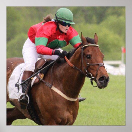 Poster van paardenras (Voorkant)