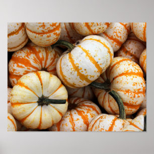 Poster van pompoenen