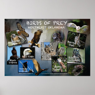 Poster van Prey 19v2