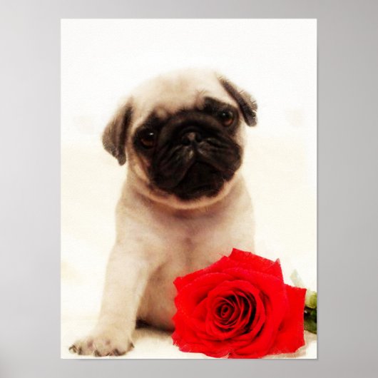 Poster van puppy (Voorkant)