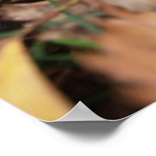 Poster van Red Fly Agaric (Hoek)