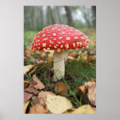 Poster van Red Fly Agaric (Voorkant)