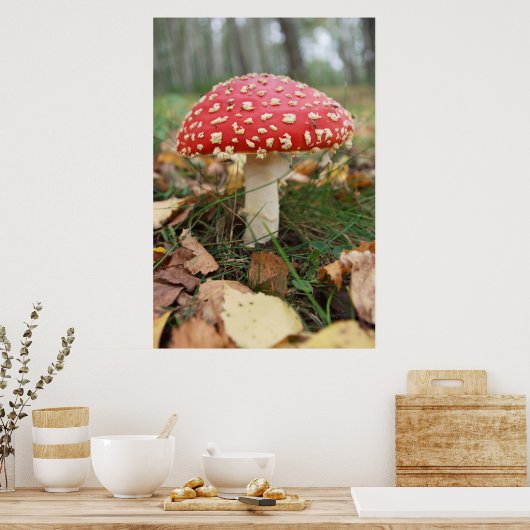 Poster van Red Fly Agaric (Keuken)